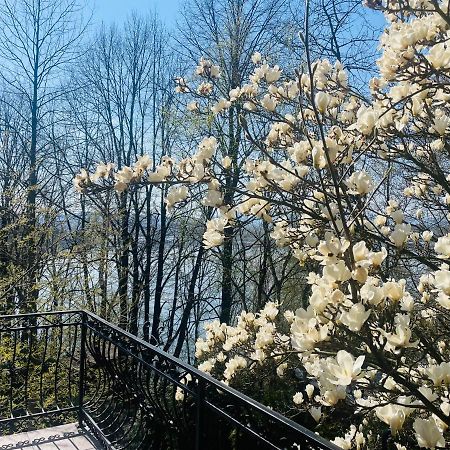 Willa Z Sauna Nad Jeziorem 61 Żywiec Kültér fotó