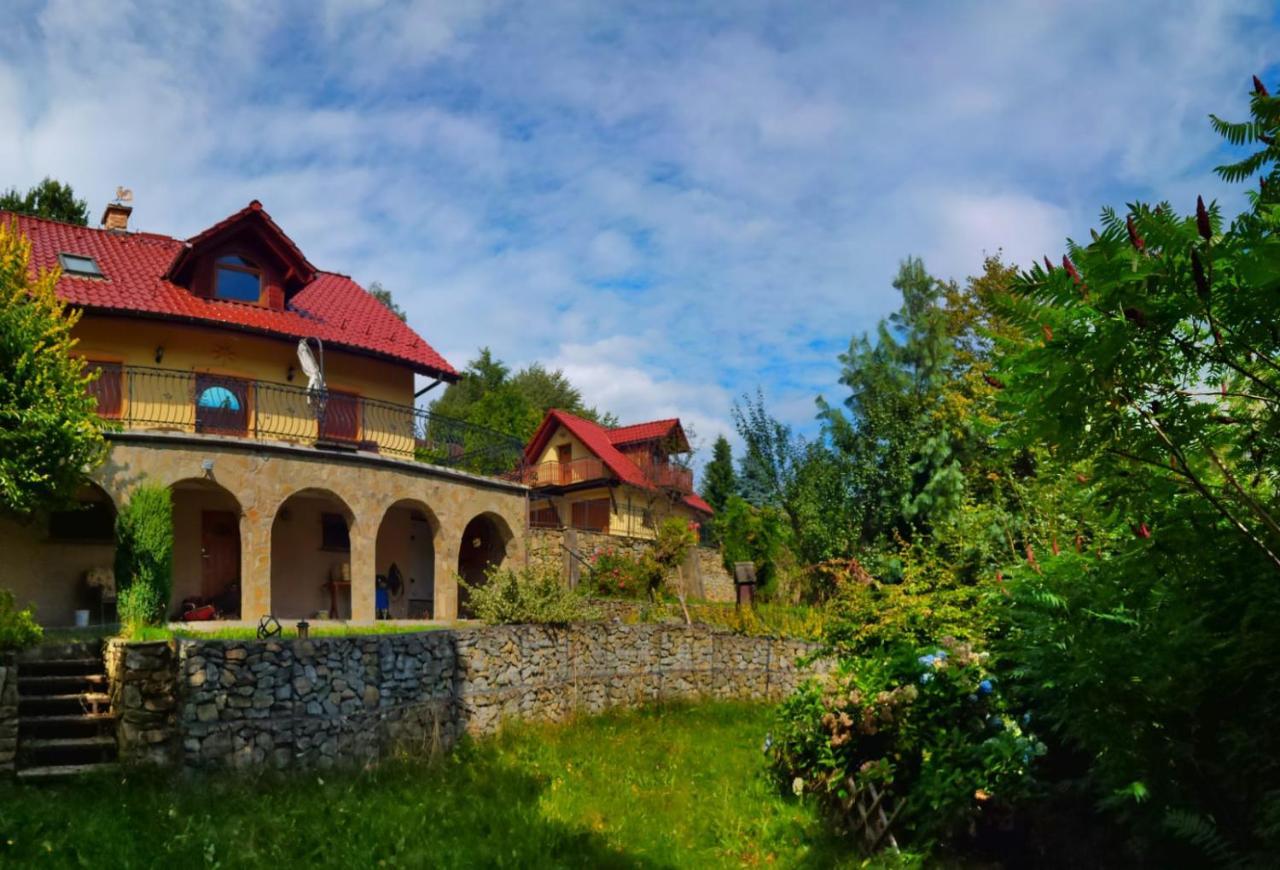 Willa Z Sauna Nad Jeziorem 61 Żywiec Kültér fotó