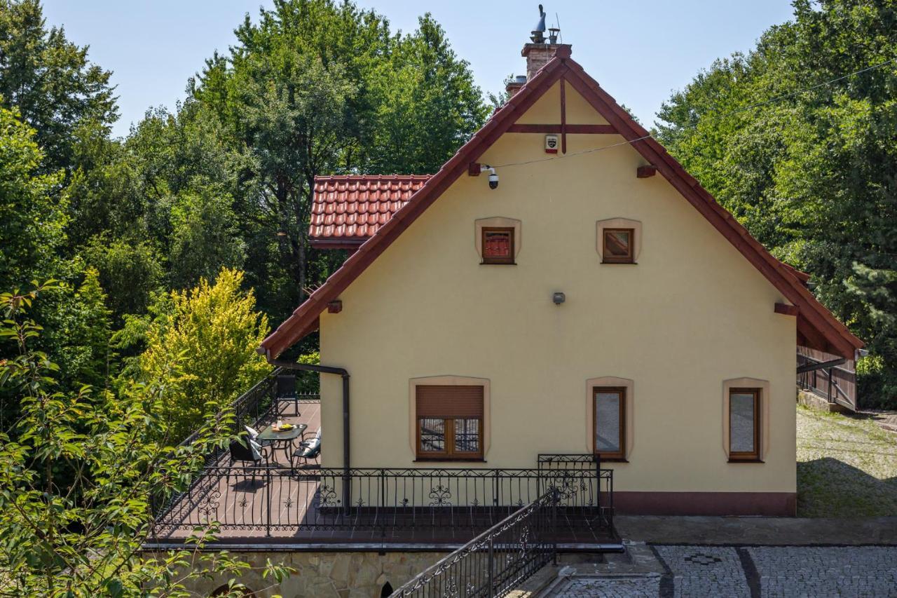 Willa Z Sauna Nad Jeziorem 61 Żywiec Kültér fotó